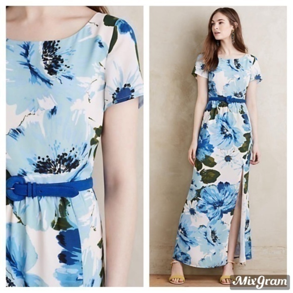 💋Rare Anthropologie dayflower blue motif maxi dress. Size S